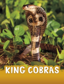 King cobras - Jaycox, Jaclyn