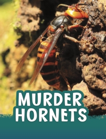 Murder Hornets - Jaycox, Jaclyn