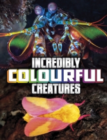 Incredibly Colourful Creatures