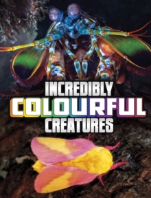 Incredibly Colourful Creatures - Peterson, Megan Cooley