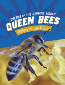 Queen Bees - Sang, Maivboon