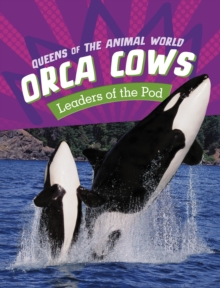 Image for Orca Cows