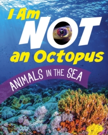 Image for I am not an octopus  : animals in the sea