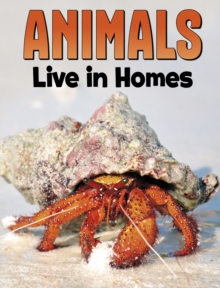 Image for Animals live in homes