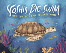 Yoshi’s Big Swim: One Turtle’s Epic Journey Home