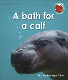Image for A bath for a calf