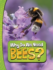 Image for Why Do We Need Bees?