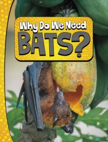 Image for Why Do We Need Bats?