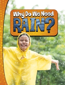 Image for Why do we need rain?