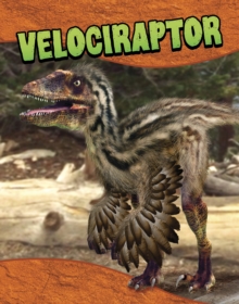 Image for Velociraptor