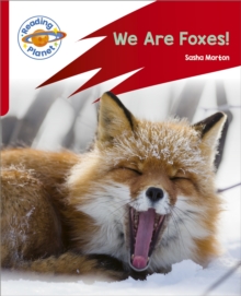 Image for Reading Planet: Rocket Phonics – Target Practice - We Are Foxes - Red A