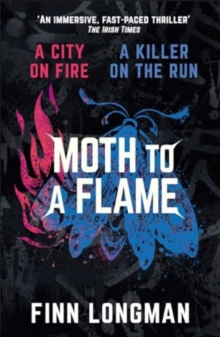 Image for Moth to a flameVolume 3