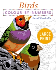 Large Print Colour by Numbers Birds: Easy-to-Read