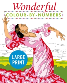 Image for Wonderful Colour by Numbers Large Print : Easy to Read