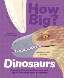 Image for How Big? Dinosaurs : Amazing Life-Sized Dinosaurs and Other Creatures from Prehistory