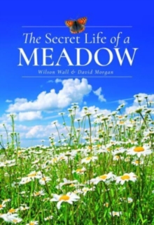 The Secret Life of a Meadow