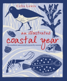 An Illustrated Coastal Year: The seashore uncovered season by season