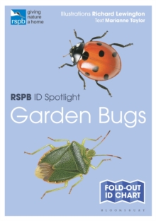 RSPB ID Spotlight – Garden Bugs