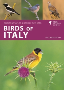 Image for Birds of Italy