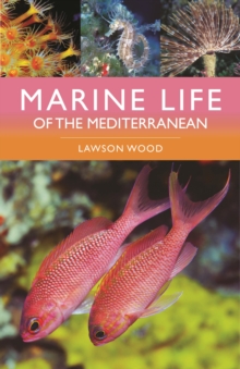 Image for Marine Life of the Mediterranean