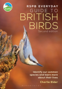 Image for The RSPB everyday guide to British birds  : identify our common species and learn more about their lives