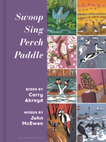 Image for Swoop Sing Perch Paddle
