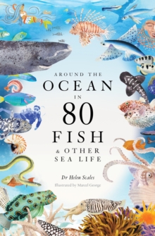 Image for Around the Ocean in 80 Fish and other Sea Life