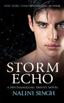 Image for Storm echo