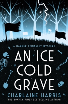 Image for An Ice Cold Grave