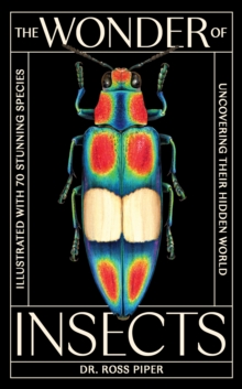 Image for The Wonder of Insects: Uncovering their Hidden World