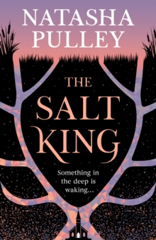 Image for The Salt King