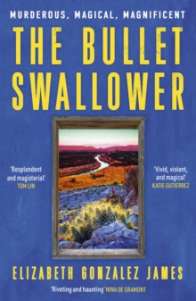 Image for The Bullet Swallower