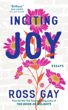 Image for Inciting joy  : essays