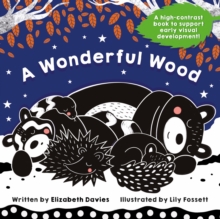 Image for A Wonderful Wood: A Black-and-White High-Contrast Storybook for Newborns and Children aged 0-5
