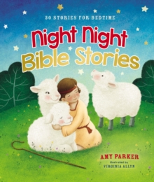Image for Night night Bible stories  : 30 stories for bedtime