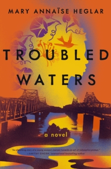 Image for Troubled waters: a novel