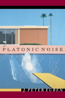 Image for Platonic noise