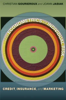 Image for The Econometrics of Individual Risk: Credit, Insurance, and Marketing