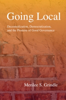 Image for Going local: decentralization and the promise of good governance