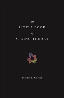 Image for The little book of string theory