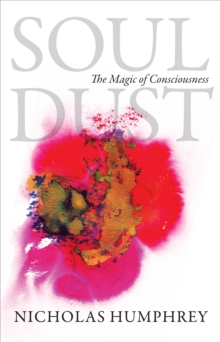 Image for Soul dust: the magic of consciousness