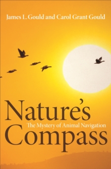 Image for Nature's compass: the mystery of animal navigation