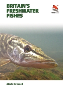 Image for Britain's freshwater fishes