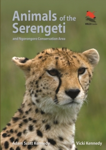 Image for Animals of the Serengeti and Ngorongoro Conservation Area