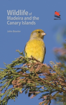 Image for Wildlife of Madeira and the Canary Islands: A Photographic Field Guide to Birds, Mammals, Reptiles, Amphibians, Butterflies and Dragonflies