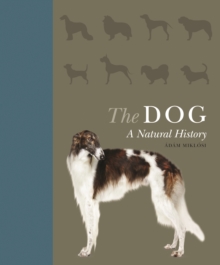 Image for Dog: A Natural History