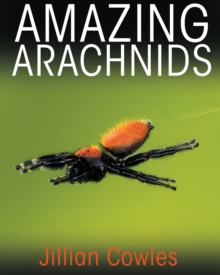 Image for Amazing Arachnids