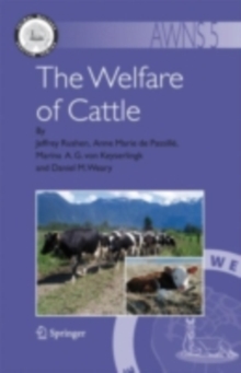 Image for The welfare of cattle