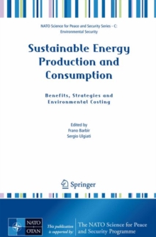 Image for Sustainable energy production and consumption  : benefits, strategies and environmental costing