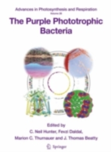 Image for The purple phototrophic bacteria